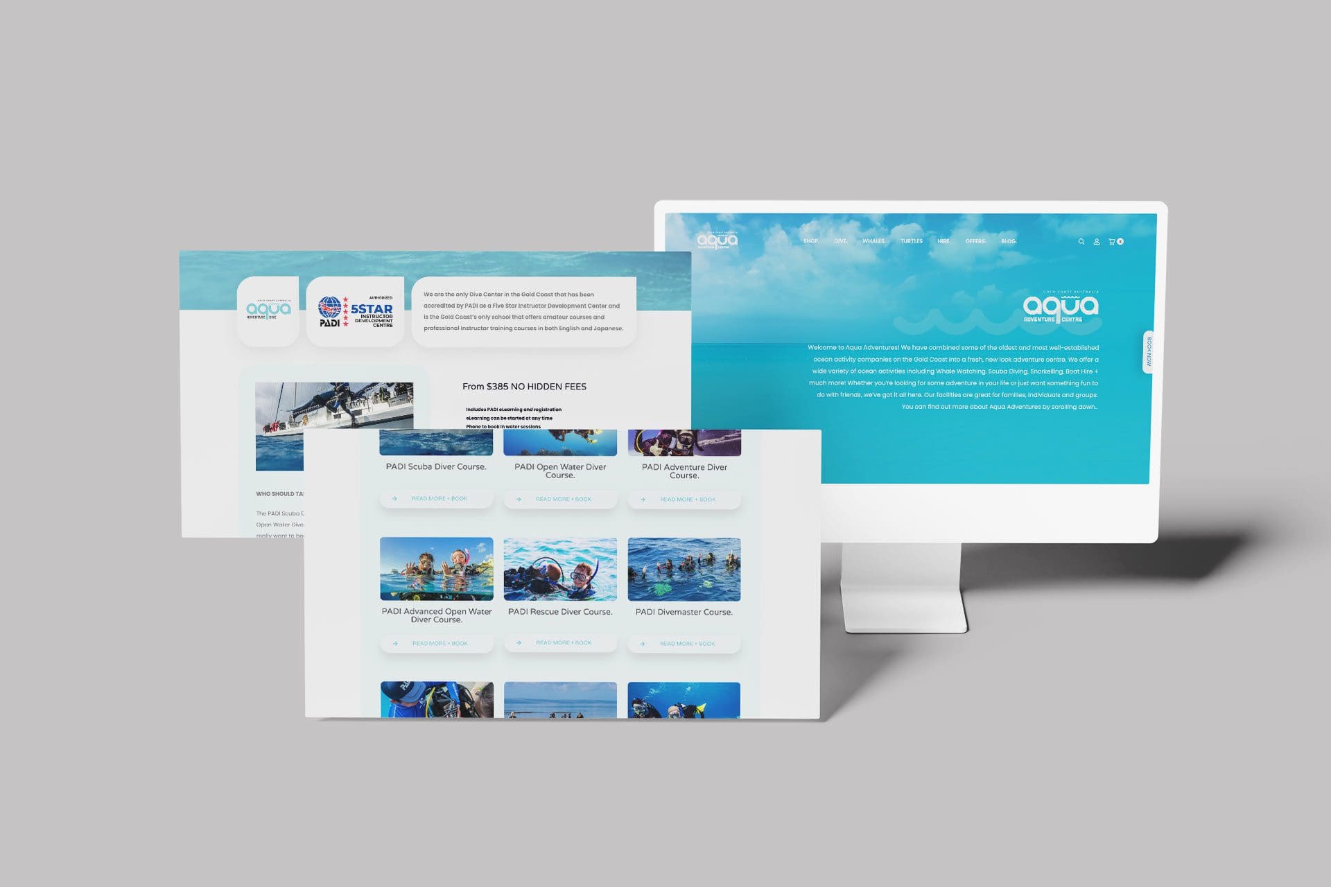 Website Design, Gold Coast QLD - c55